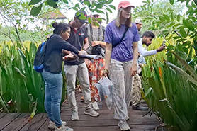 international wetlands mental health conference 2025 image