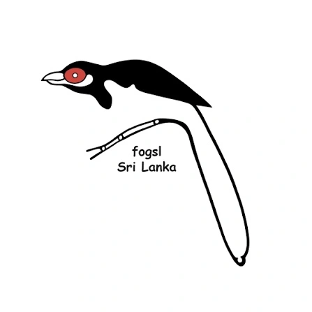 international wetlands mental health conference co-organizers logo