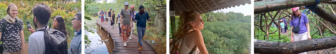 international wetlands mental health conference 2025 banner