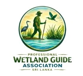 international wetlands mental health conference co-organizers logo